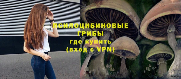 кокаин Богданович