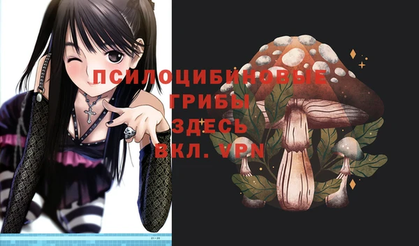 кокаин Богданович