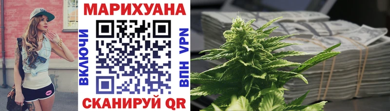 Конопля индика Калуга
